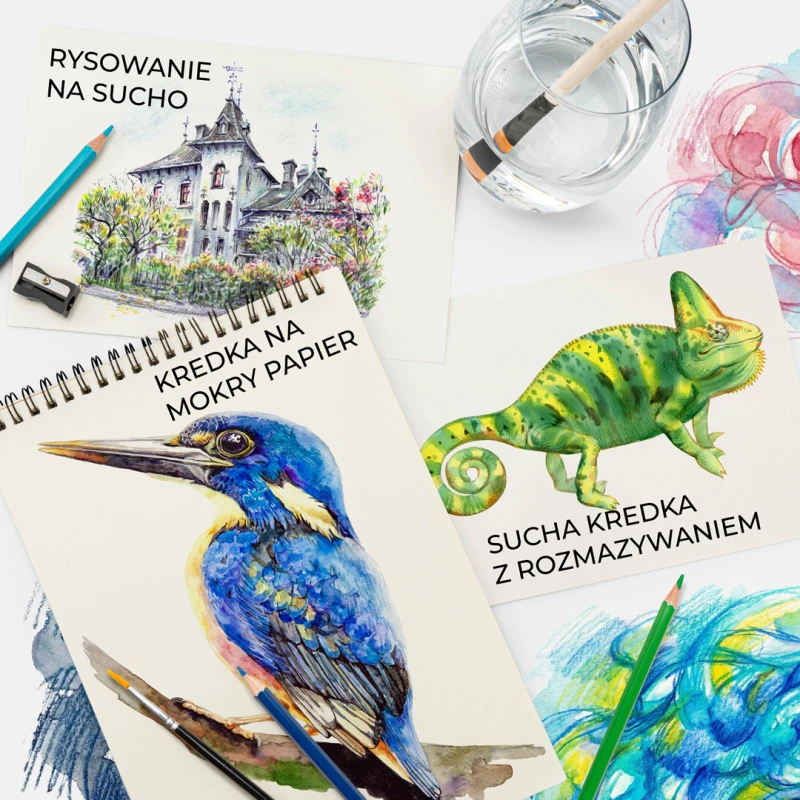 KREDKI AKWARELOWE 48 SZTUK ZESTAW KREDEK PROFESJONALNE KOLOROWE - obrazek 5